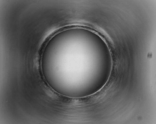 X0000102841360200808181338