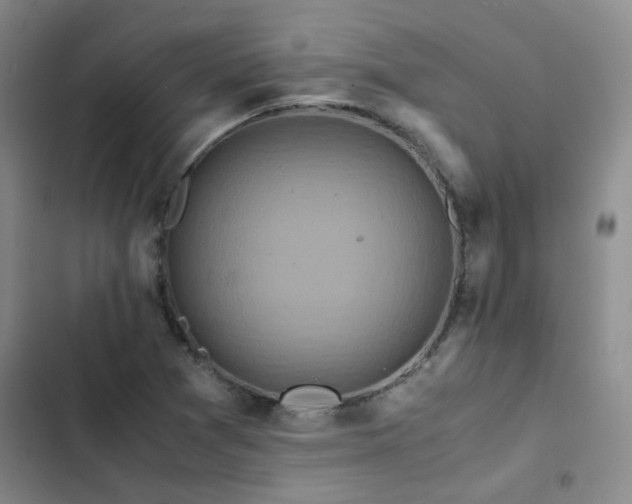 X0000102841361200808181338