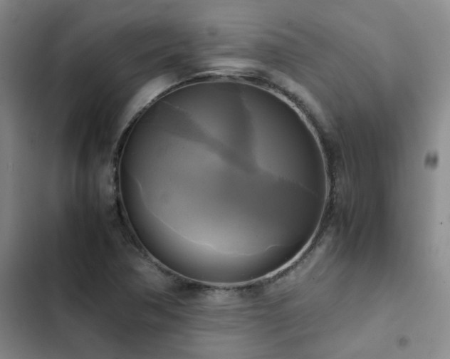 X0000102841362200808181338