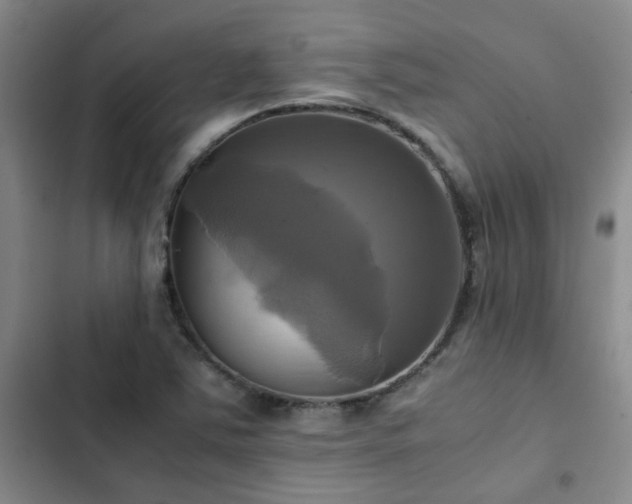 X0000102841363200808181338