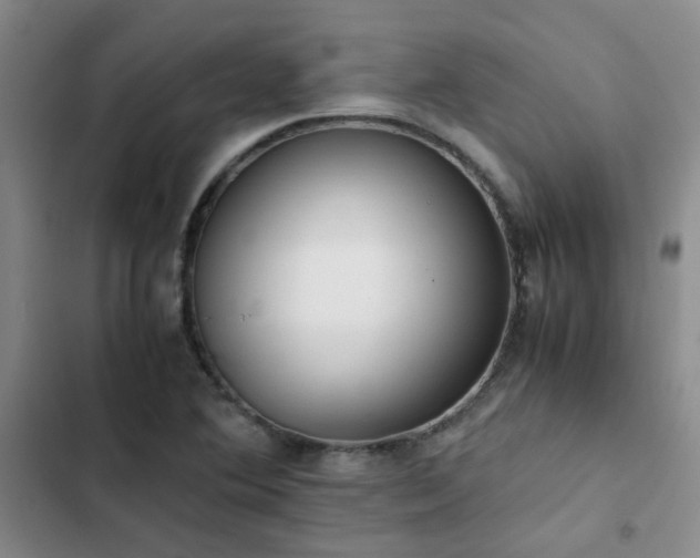 X0000102841364200808181338
