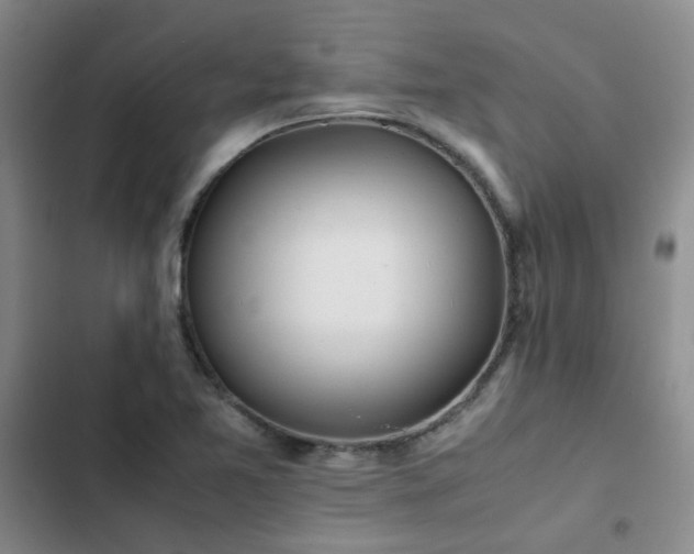 X0000102841365200808181338