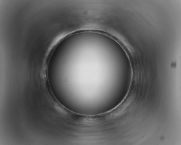 X0000102841366200808181338