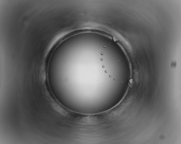 X0000102841368200808181337