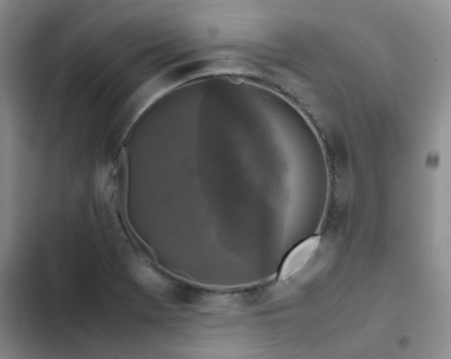 X0000102841369200808181337