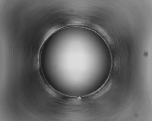 X0000102841370200808181337