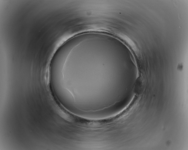 X0000102841371200808181337