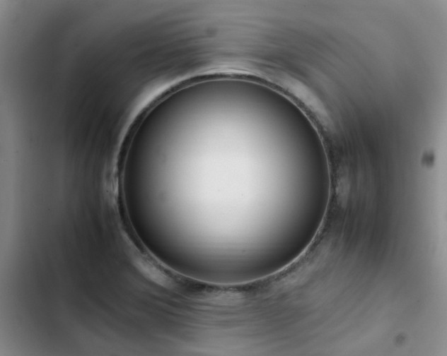 X0000102841372200808181337