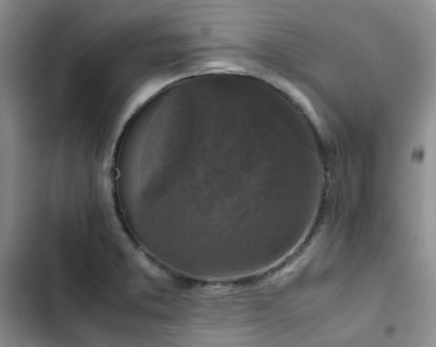 X0000102841373200808181337