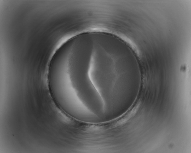 X0000102841374200808181337