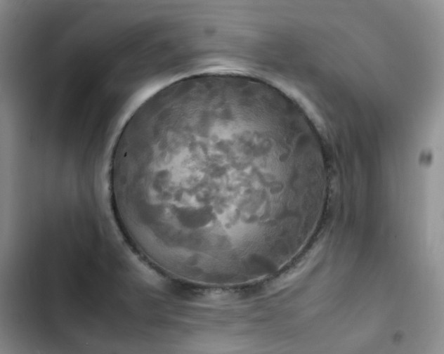 X0000102841375200808181337