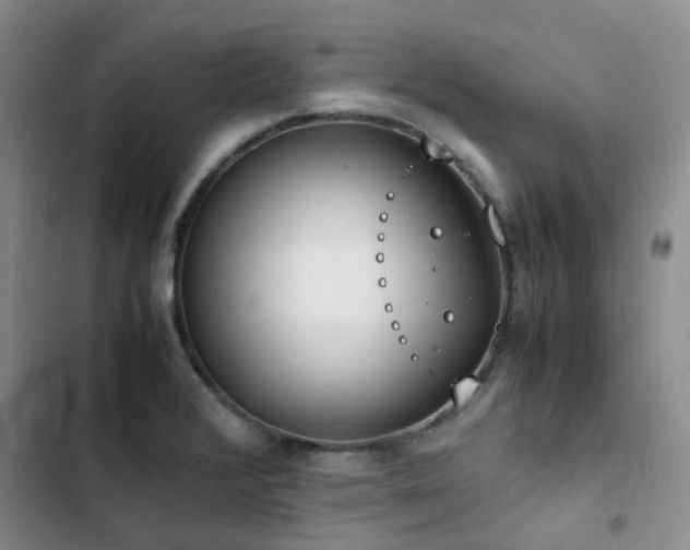 X0000102841376200808181337