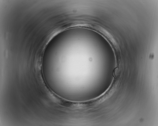 X0000102841377200808181337