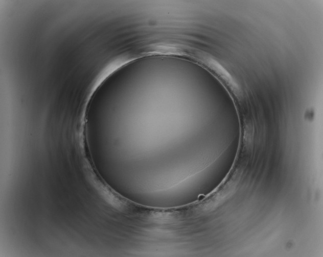 X0000102841378200808181337