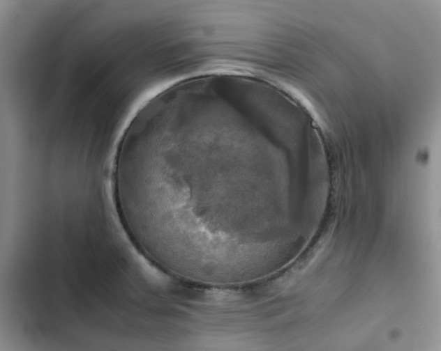 X0000102841379200808181337