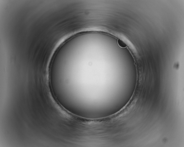 X0000102841380200808181337
