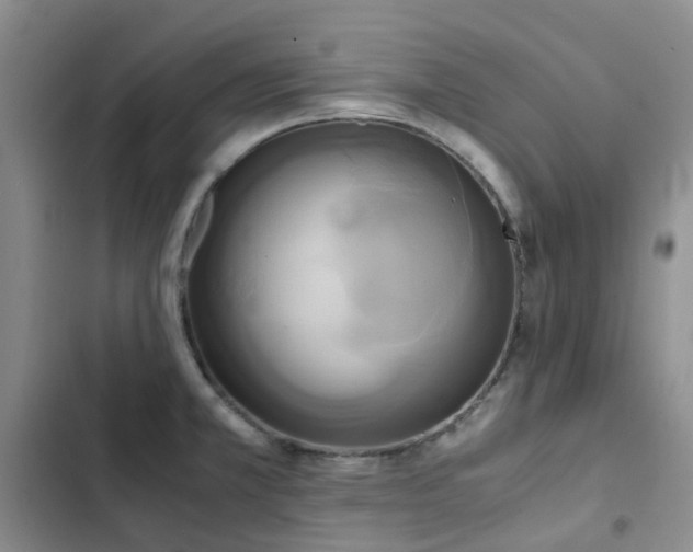 X0000102841381200808181337