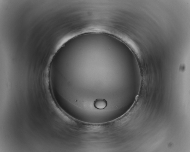 X0000102841382200808181337