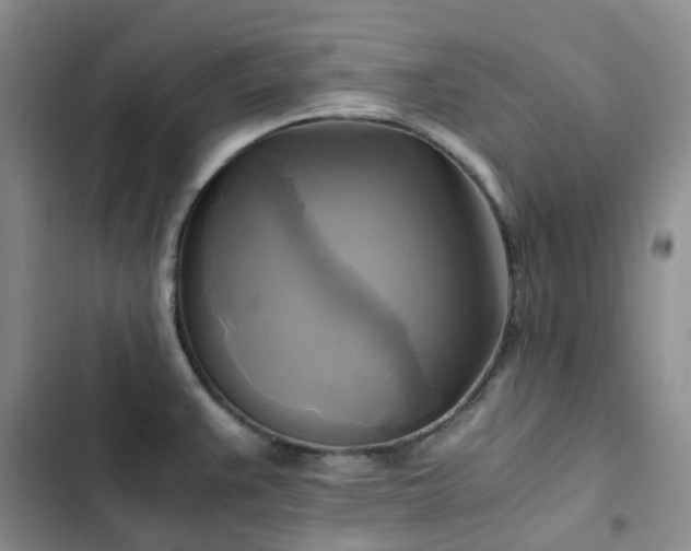 X0000102841383200808181337