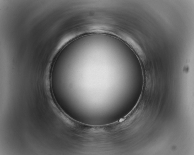 X0000102841384200808181337