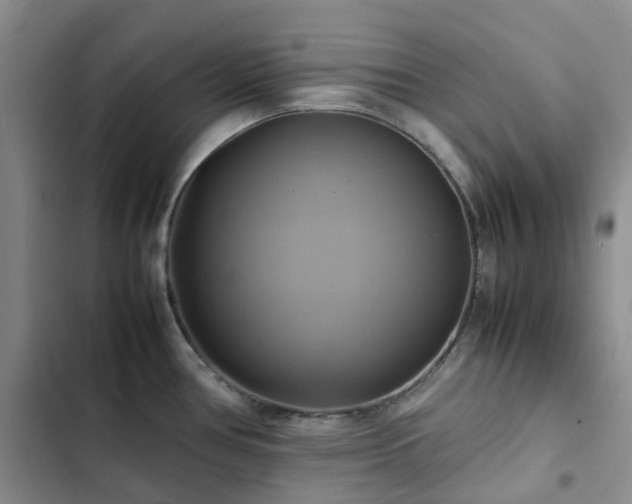 X0000102841386200808181337