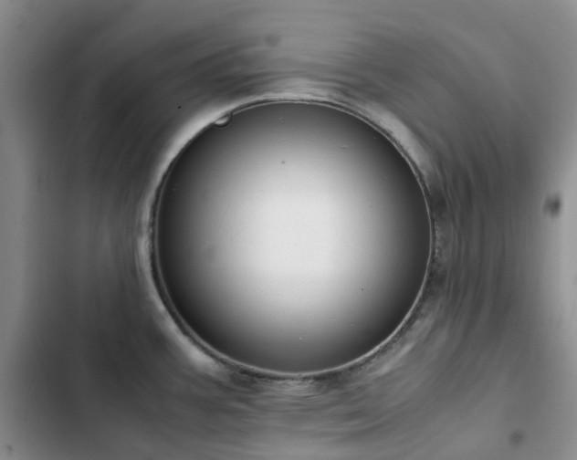 X0000102841387200808181337