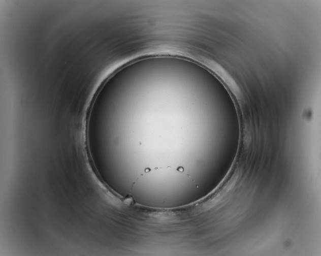 X0000102841388200808181337