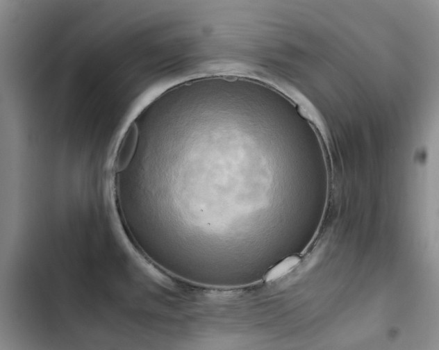 X0000102841389200808181337