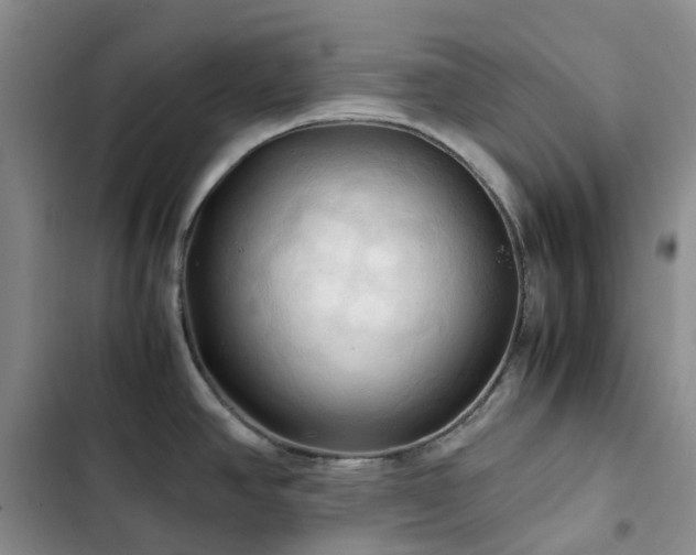 X0000102841390200808181337