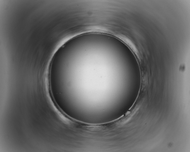 X0000102841391200808181337