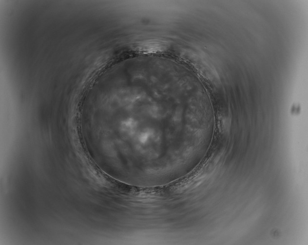 X0000102841393200808181336