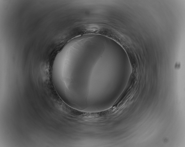 X0000102841394200808181336