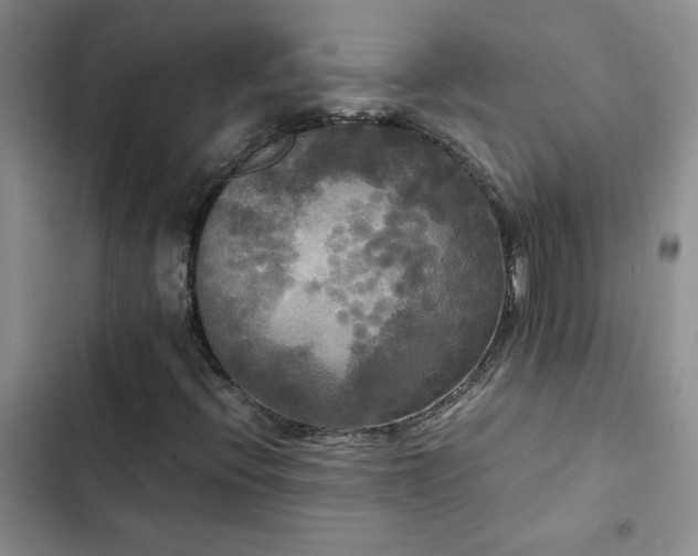 X0000102841396200808181336
