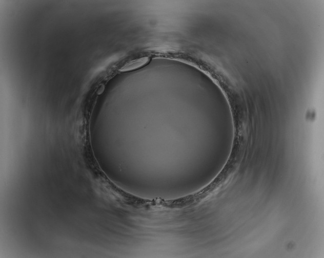 X0000102841398200808181336