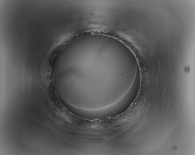 X0000102841399200808181336