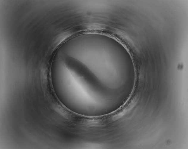 X0000102841401200808181336