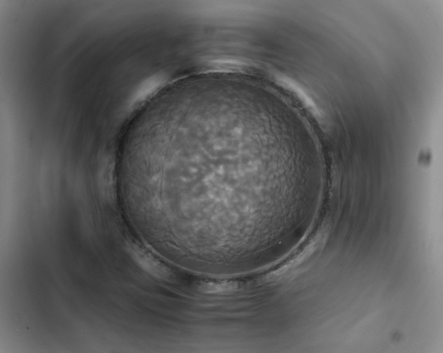 X0000102841403200808181336