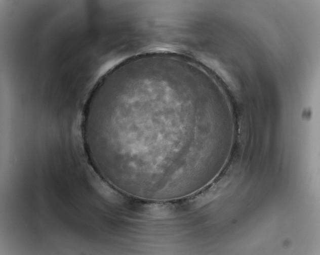 X0000102841404200808181336