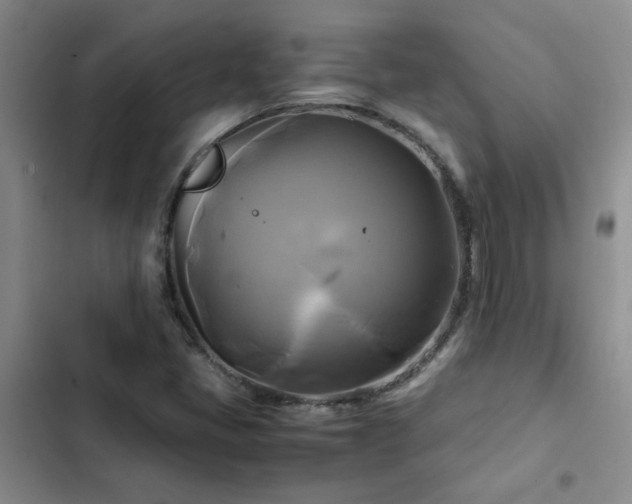 X0000102841405200808181336
