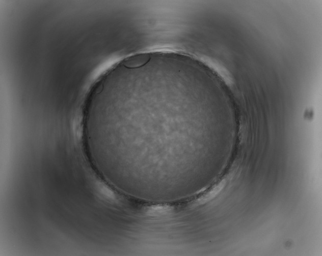 X0000102841406200808181336