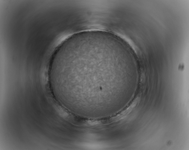 X0000102841407200808181337