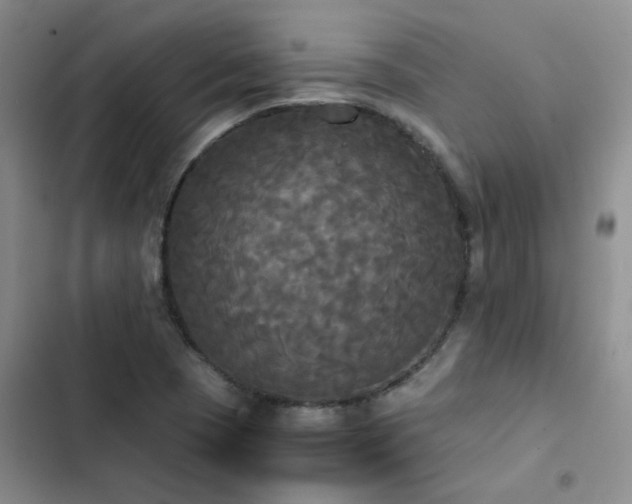 X0000102841409200808181337