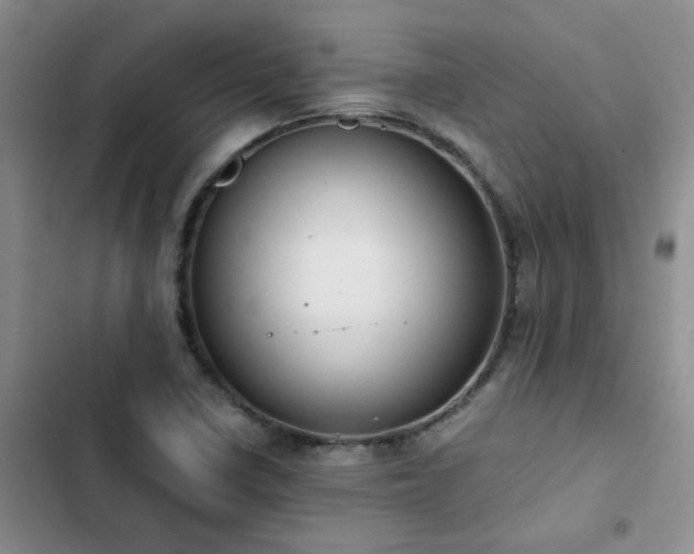X0000102841410200808181337
