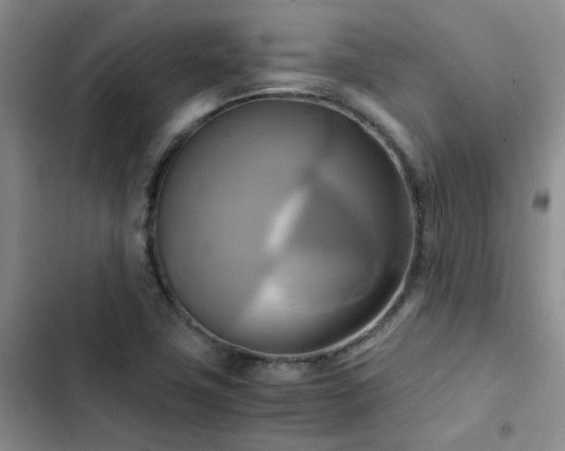 X0000102841411200808181337