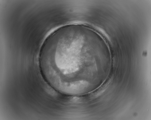 X0000102841412200808181337