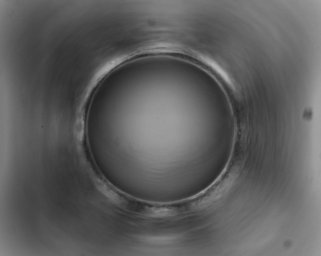 X0000102841413200808181337