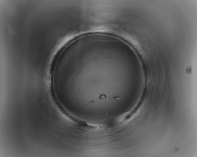 X0000102841414200808181337