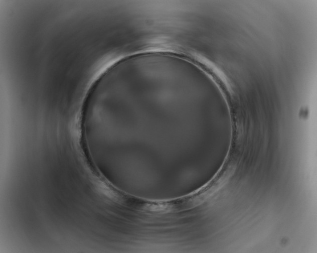 X0000102841415200808181337