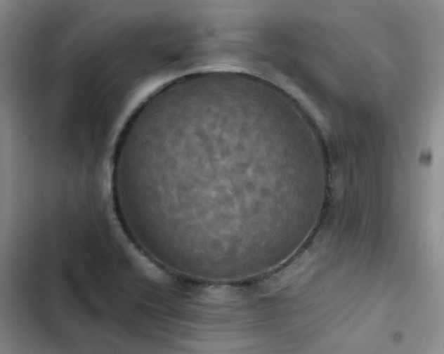 X0000102841416200808181337