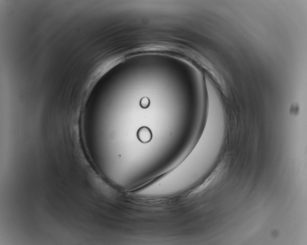 X0000102841417200808181337